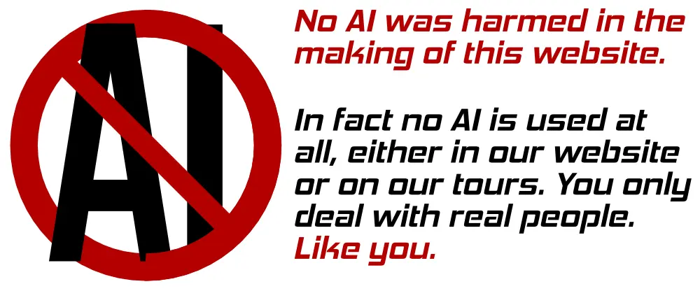 No AI is used by our company 